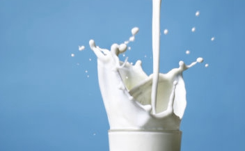 牛奶乳品牛奶粉好还是羊奶粉好 牛奶有什么作用