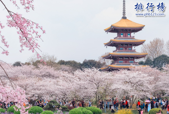 中国最美樱花圣地 中国十大樱花观赏地