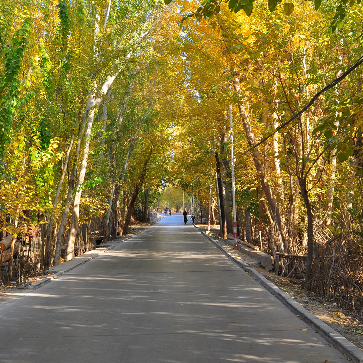 夏天新疆有没有好玩的地方 新疆夏天最美的地方排行榜