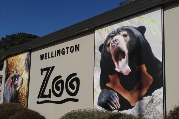 惠灵顿动物园上榜(新西兰最大动物园) 全球十大最美动物园