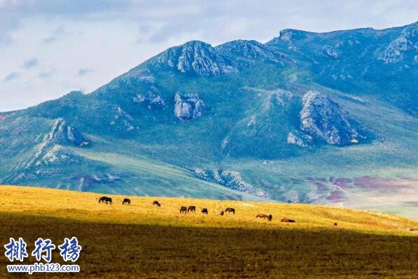世界著名大草原有哪些 世界十大草原之最排名
