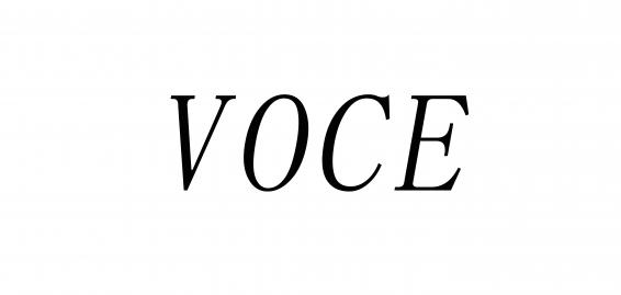 voce品牌标志LOGO