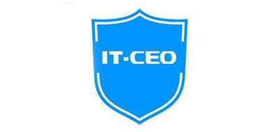 IT-CEO