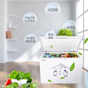 Ronshen/容声 BD/BC-309MD 冷柜冰柜商用家用大容量卧式冷藏冷冻