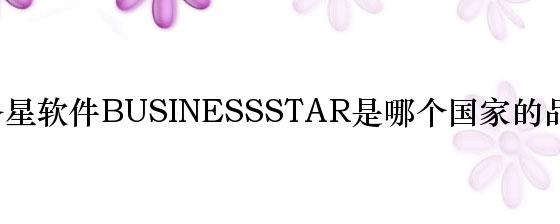 商务星软件BUSINESSSTAR是哪个国家的品牌？