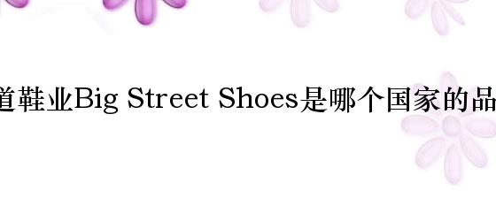 大道鞋业Big Street Shoes是哪个国家的品牌？