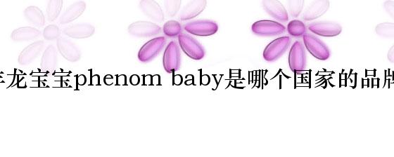 丰龙宝宝phenom baby是哪个国家的品牌？