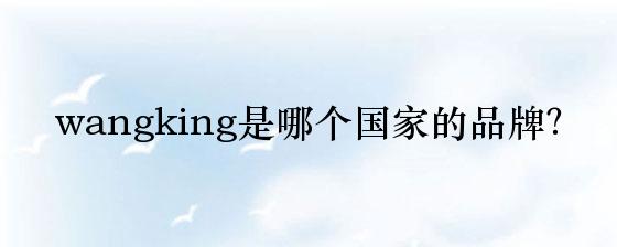 wangking是哪个国家的品牌？