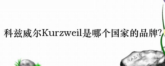 科兹威尔Kurzweil是哪个国家的品牌？