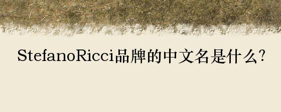 StefanoRicci品牌的中文名是什么？