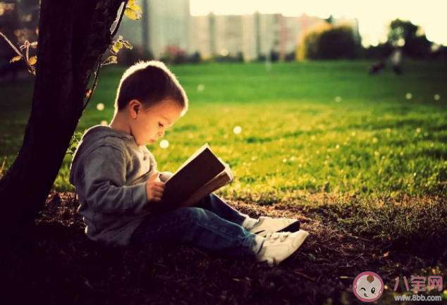 怎么培养孩子的自主阅读能力 有哪些认知误区