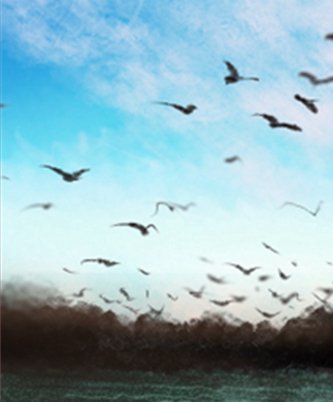 <a href=/astro/leo/ target=_blank class=infotextkey>狮子座</a>男生为何总是单身？