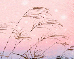 <a href=/shengxiao/shu/ target=_blank class=infotextkey>属鼠</a>的<a href=/astro/virgo/ target=_blank class=infotextkey>处女座</a>男生性格