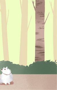 天蝎座的期许<a href=/tarot/ target=_blank class=infotextkey>塔罗牌</a>