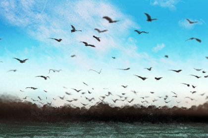 <a href=/astro/sagittarius/ target=_blank class=infotextkey>射手座</a>女生的冬季减肥大餐
