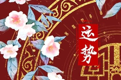 第一星运 2025年2月24日<a href=/astro/ target=_blank class=infotextkey>十二星座</a>运势解析