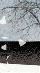 <a href=/astro/pisces/ target=_blank class=infotextkey>双鱼座</a>