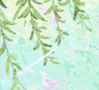<a href=/astro/capricorn/ target=_blank class=infotextkey>摩羯座</a>