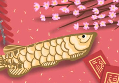 金牛男和12星座女生的共同点