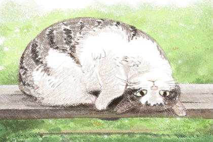 <a href=/astro/ target=_blank class=infotextkey>十二星座</a>胆小指数排名