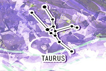 风象星座很厌恶土象 爱情观差异太大