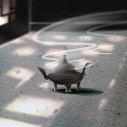 <a href=/astro/capricorn/ target=_blank class=infotextkey>摩羯座</a>
