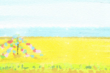 龙葵花