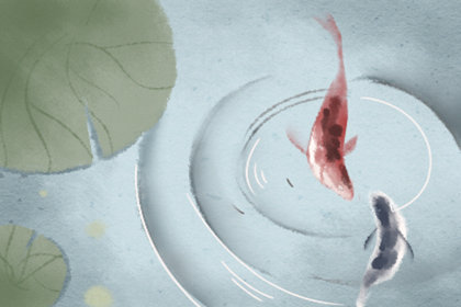 富贵竹的花语：花开富贵、竹报平安