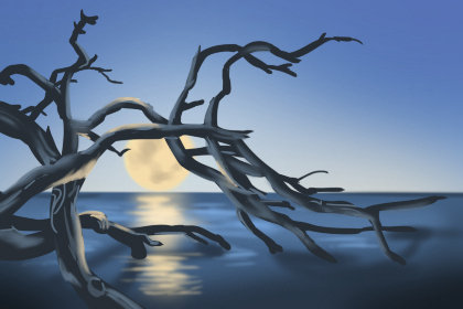 测测你是仙还是妖