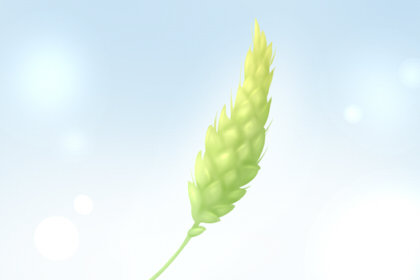 综合测试