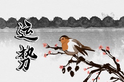 第一运程 2025年3月10日十二<a href=/yunshi/ target=_blank class=infotextkey>生肖运势</a>解析