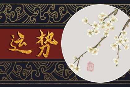 第一运程 2025年1月11日十二<a href=/yunshi/ target=_blank class=infotextkey>生肖运势</a>解析