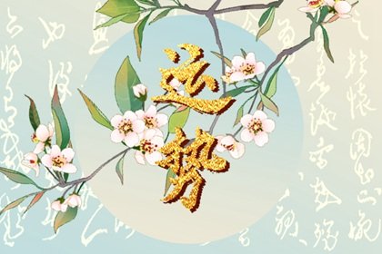 第一运程 2024年十二生肖周运8.26-9.1