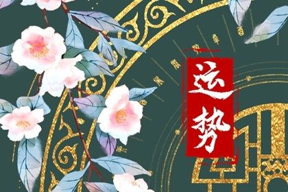 第一运程 2024年12月28日十二<a href=/yunshi/ target=_blank class=infotextkey>生肖运势</a>解析