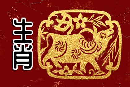 第一运程 2022年1月9日十二生肖运势解析