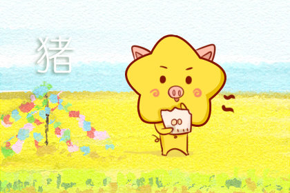 2019年各生肖财运排名