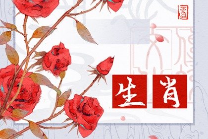 2025年十二生肖运程 2025年生肖吉凶解析