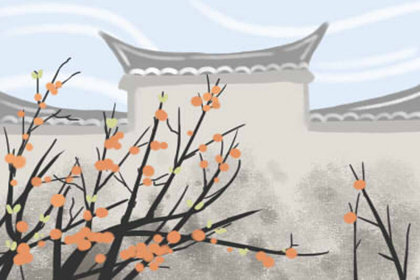 生肖日运