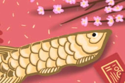 暑热季节出生的<a href=/yunshi/ target=_blank class=infotextkey>生肖运势</a>