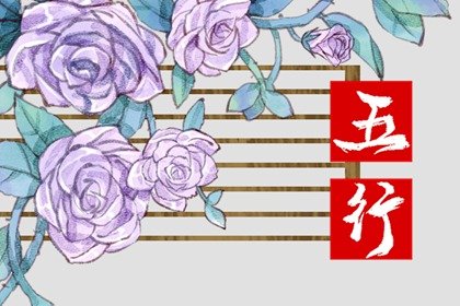 86年五行属什么的 命理分析和八字命局