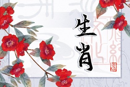 实力强到可怕的生肖女 在各个方面都令人佩服