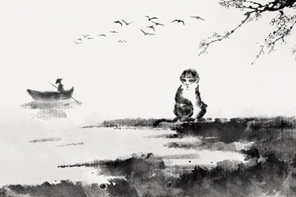 属猴三月一生好不好 男生女生性格