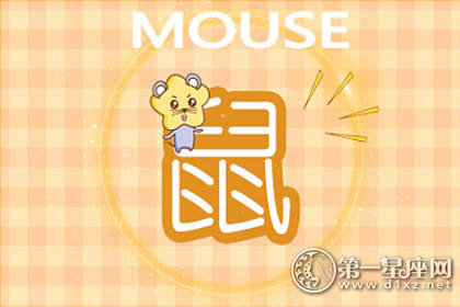 属鼠