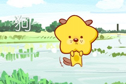 属牛与属狗事业能不能合作 合财吗