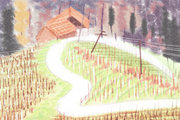 <a href=/shengxiao/hu/ target=_blank class=infotextkey>属虎</a>