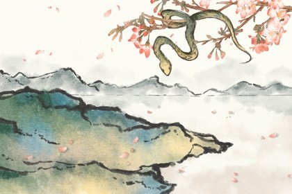 1977年出生属蛇的2022年婚姻走势分析