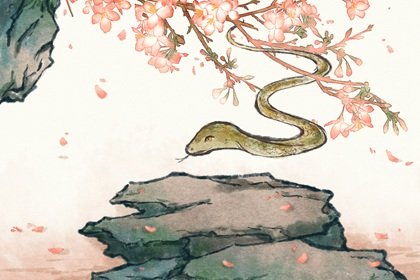 生肖蛇1月底，有“躲不过”的喜！