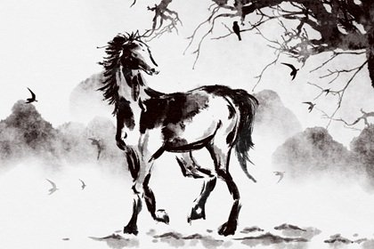 马的桃花劫是哪一个生肖