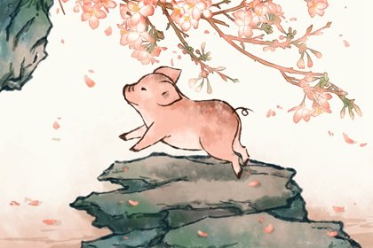 生肖猪女最怕出生几月，属猪女命不好的出生月份