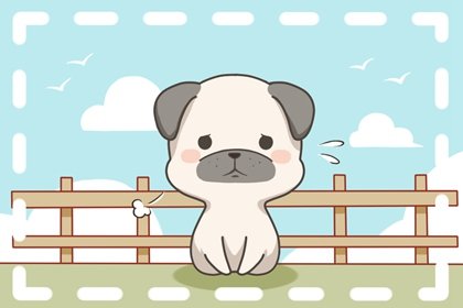 属狗的2022年学业运势怎么样